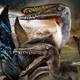 Illustration for article titled Massive Fossilized Pterosaur Colony Most Important Ever Found
